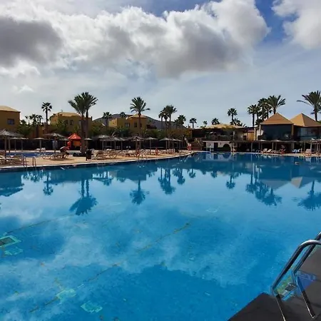 Vista Palmera Oasis Papagayo Corralejo