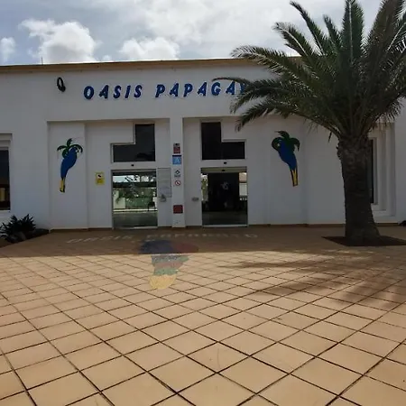 Vista Palmera Oasis Papagayo Corralejo
