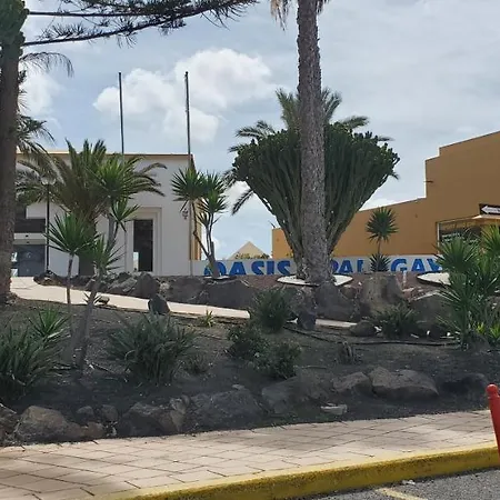 Vista Palmera Oasis Papagayo *