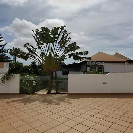 Vista Palmera Oasis Papagayo Corralejo